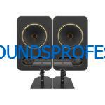 Gold 8 Tanoy monitor speaker