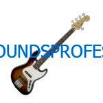 Fender 5strings bass guitar